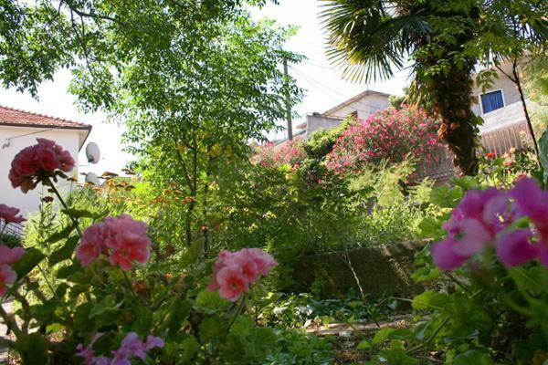 Mravak Apartments Trogir Zewnętrze zdjęcie